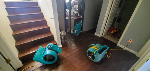 Best Fire Damage Restoration  in Ruch, OR