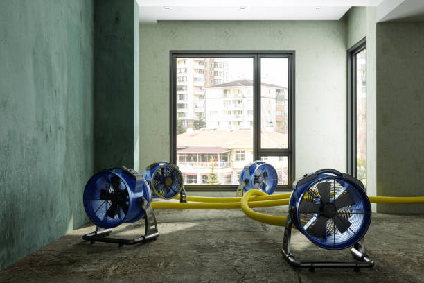Best Water damage cleanup near me  in Ruch, OR