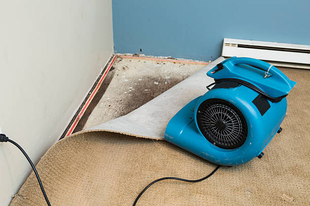 Water damage restoration mold remediation in OR