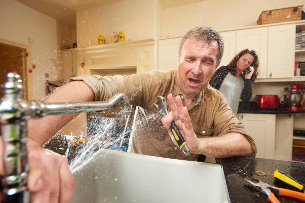 Best Mold removal after water damage  in Ruch, OR